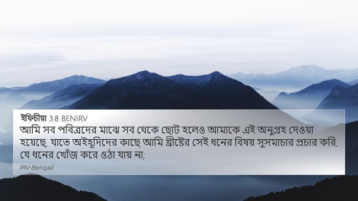 ইফিচীয়া 3:8 BENIRV Bible Verse Image