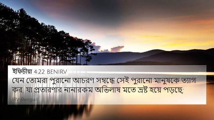 ইফিচীয়া 4:22 BENIRV Bible Verse Image