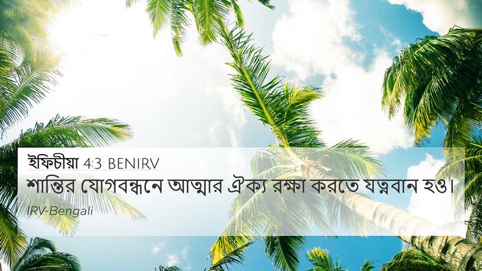 ইফিচীয়া 4:3 BENIRV Bible Verse Image