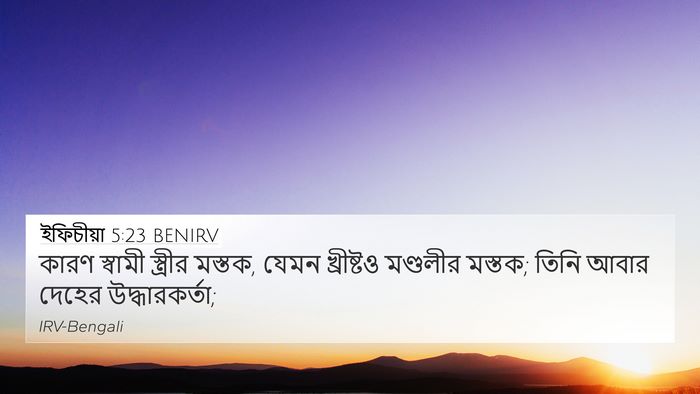 ইফিচীয়া 5:23 BENIRV Bible Verse Image