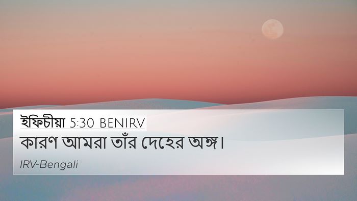 ইফিচীয়া 5:30 BENIRV Bible Verse Image