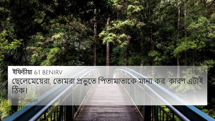 ইফিচীয়া 6:1 BENIRV Bible Verse Image