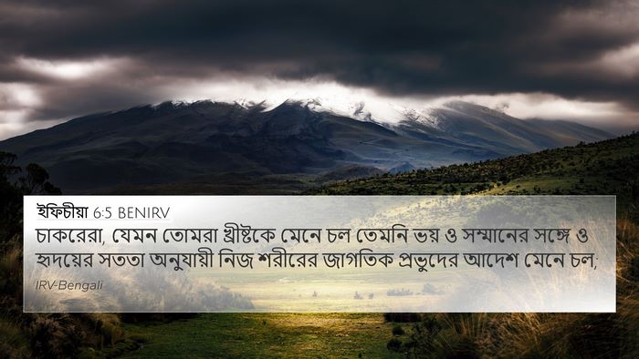ইফিচীয়া 6:5 BENIRV Bible Verse Image