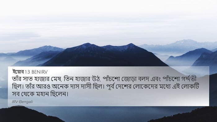 ইয়োব 1:3 BENIRV Bible Verse Image