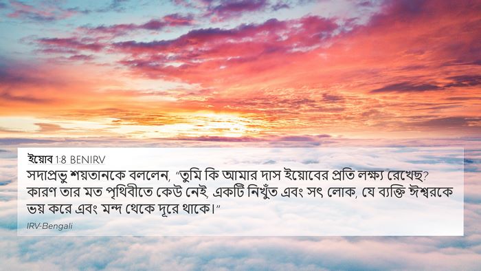 ইয়োব 1:8 BENIRV Bible Verse Image