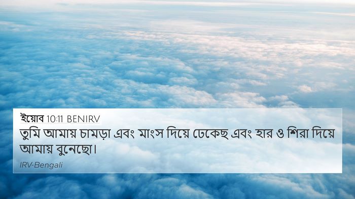 ইয়োব 10:11 BENIRV 4K Wallpaper - তুমি আমায় চামড়া - 4K Wallpaper Bible Verse