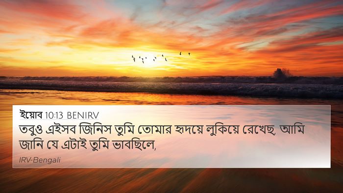 ইয়োব 10:13 BENIRV 4K Wallpaper - তবুও এইসব জিনিস - 4K Wallpaper Bible Verse