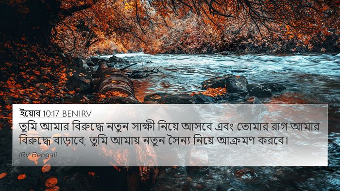ইয়োব 10:17 BENIRV Bible Verse Image