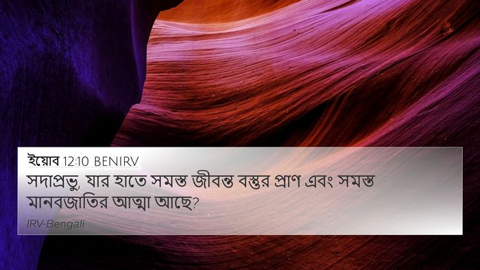 ইয়োব 12:10 BENIRV Bible Verse Image
