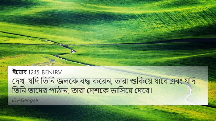 ইয়োব 12:15 BENIRV Bible Verse Image