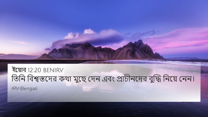 ইয়োব 12:20 BENIRV Bible Verse Image