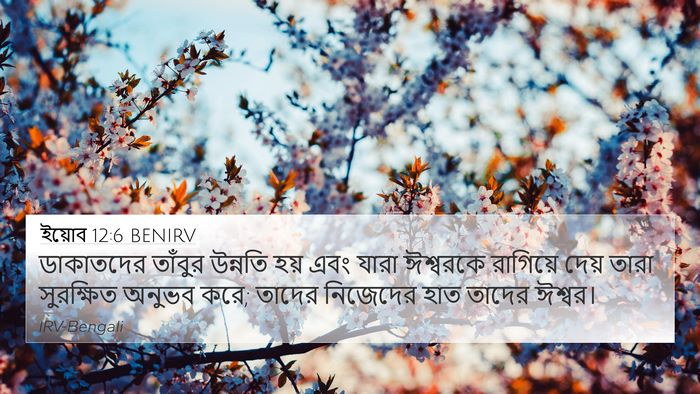 ইয়োব 12:6 BENIRV Bible Verse Image