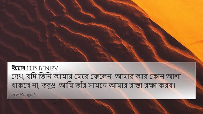ইয়োব 13:15 BENIRV Bible Verse Image