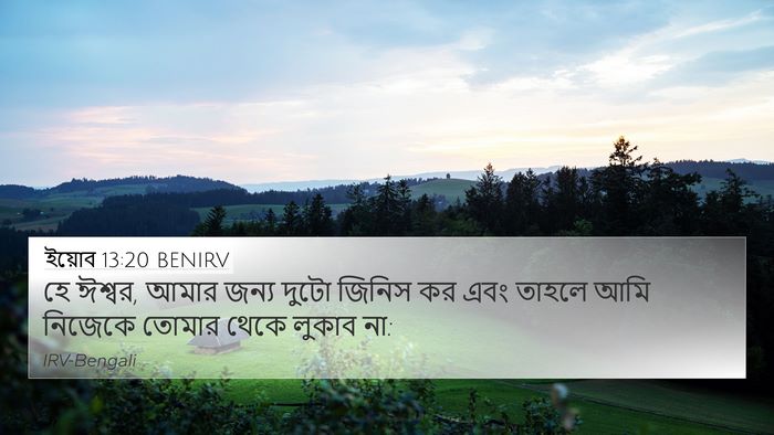 ইয়োব 13:20 BENIRV 4K Wallpaper - হে ঈশ্বর, আমার জন্য - 4K Wallpaper Bible Verse