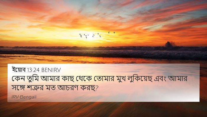 ইয়োব 13:24 BENIRV Bible Verse Image