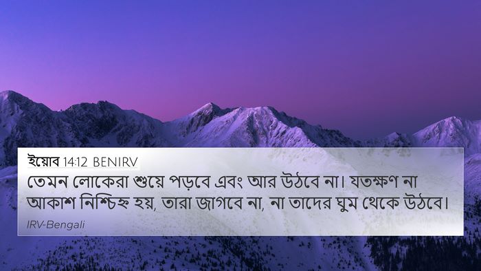 ইয়োব 14:12 BENIRV Bible Verse Image