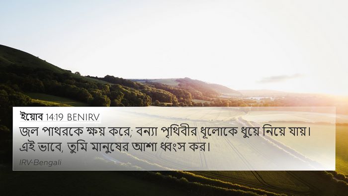 ইয়োব 14:19 BENIRV Bible Verse Image