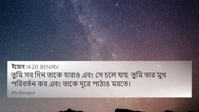 ইয়োব 14:20 BENIRV Bible Verse Image
