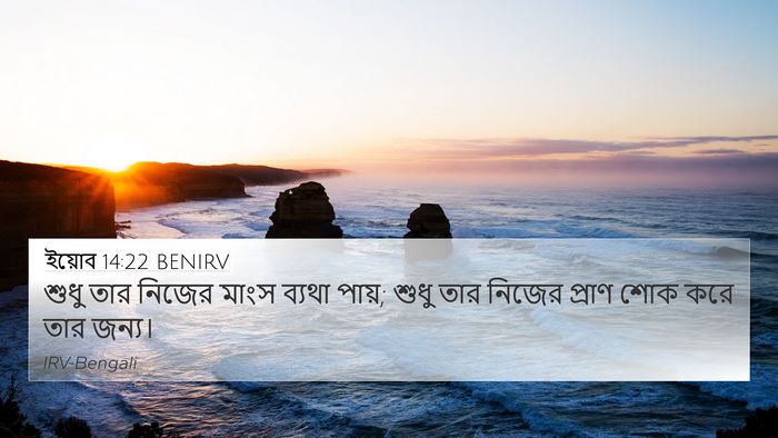 ইয়োব 14:22 BENIRV 4K Wallpaper - শুধু তার নিজের - 4K Wallpaper Bible Verse