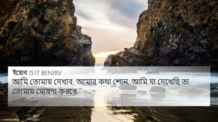 ইয়োব 15:17 BENIRV Bible Verse Image