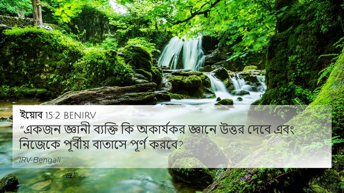 ইয়োব 15:2 BENIRV Bible Verse Image