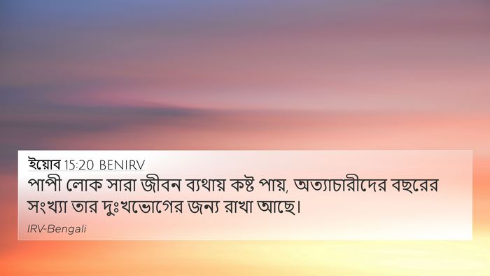 ইয়োব 15:20 BENIRV Bible Verse Image