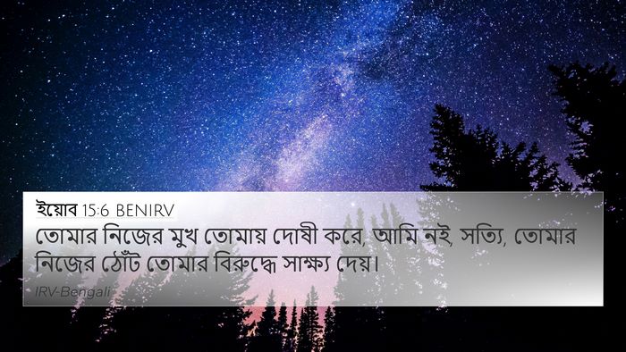 ইয়োব 15:6 BENIRV Bible Verse Image