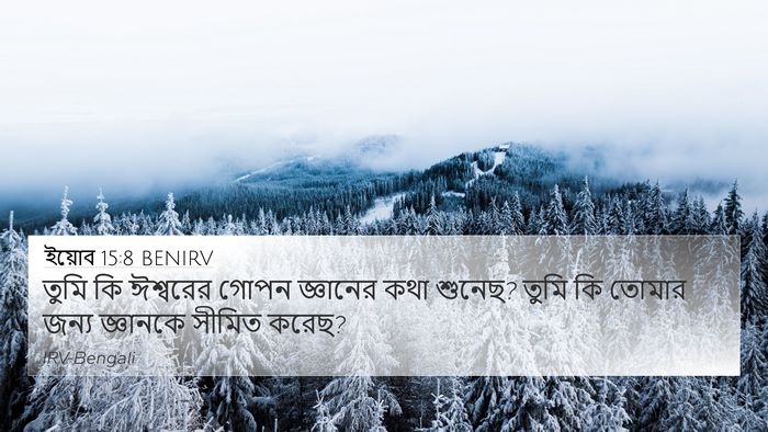 ইয়োব 15:8 BENIRV Bible Verse Image