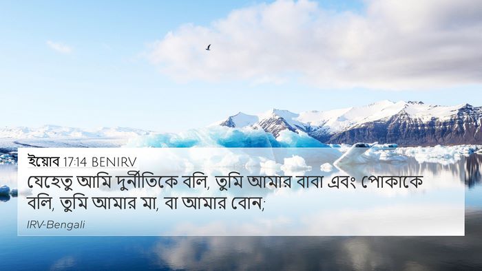 ইয়োব 17:14 BENIRV Bible Verse Image