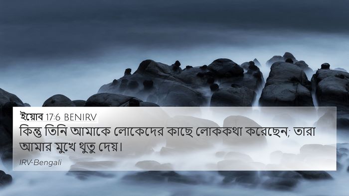 ইয়োব 17:6 BENIRV Bible Verse Image