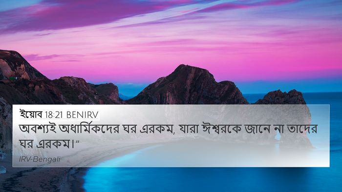 ইয়োব 18:21 BENIRV Bible Verse Image
