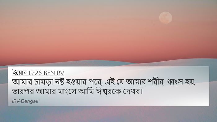ইয়োব 19:26 BENIRV Bible Verse Image