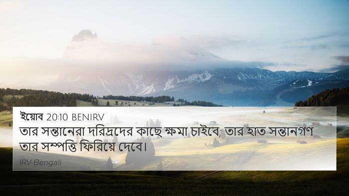 ইয়োব 20:10 BENIRV Bible Verse Image