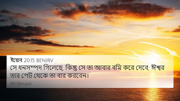 ইয়োব 20:15 BENIRV Bible Verse Image