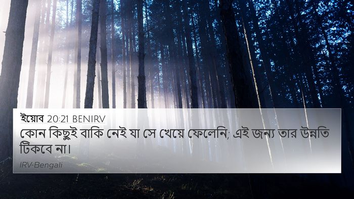 ইয়োব 20:21 BENIRV 4K Wallpaper - কোন কিছুই বাকি নেই - 4K Wallpaper Bible Verse