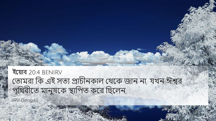 ইয়োব 20:4 BENIRV Bible Verse Image