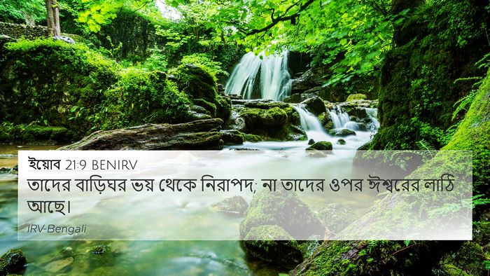 ইয়োব 21:9 BENIRV Bible Verse Image