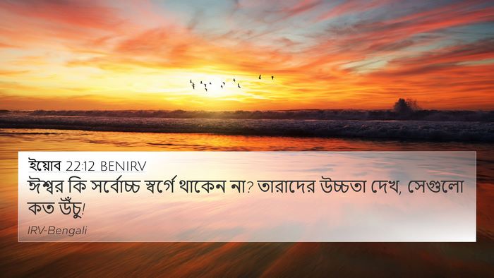 ইয়োব 22:12 BENIRV Bible Verse Image