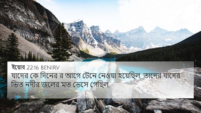 ইয়োব 22:16 BENIRV Bible Verse Image