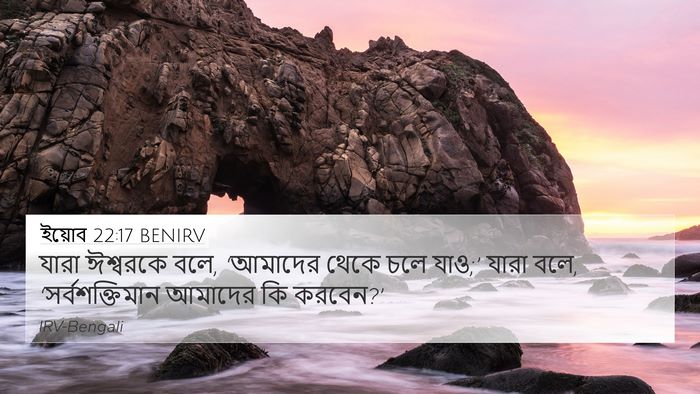 ইয়োব 22:17 BENIRV Bible Verse Image