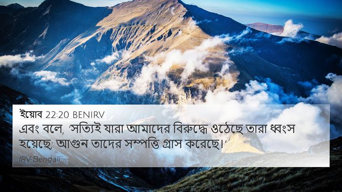 ইয়োব 22:20 BENIRV Bible Verse Image