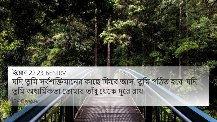 ইয়োব 22:23 BENIRV Bible Verse Image
