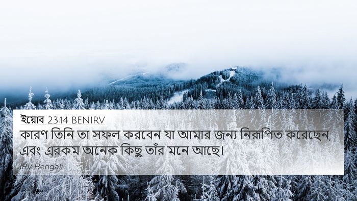 ইয়োব 23:14 BENIRV 4K Wallpaper - কারণ তিনি তা সফল - 4K Wallpaper Bible Verse
