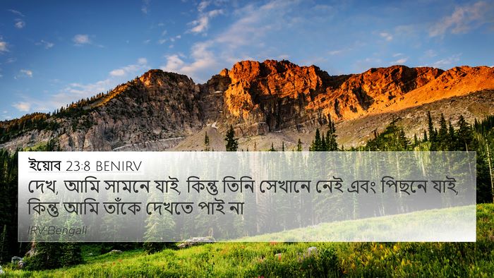 ইয়োব 23:8 BENIRV Bible Verse Image