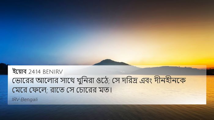 ইয়োব 24:14 BENIRV Bible Verse Image