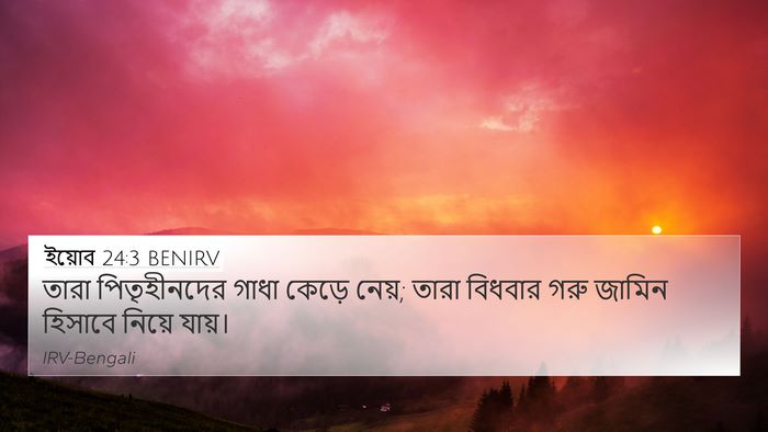 ইয়োব 24:3 BENIRV Bible Verse Image