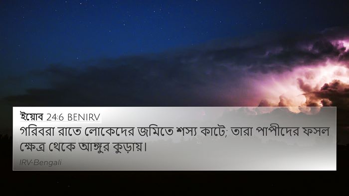 ইয়োব 24:6 BENIRV 4K Wallpaper - গরিবরা রাতে - 4K Wallpaper Bible Verse
