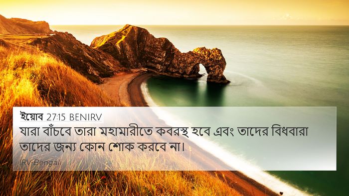 ইয়োব 27:15 BENIRV Bible Verse Image