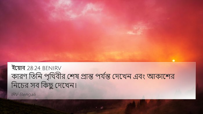 ইয়োব 28:24 BENIRV Bible Verse Image