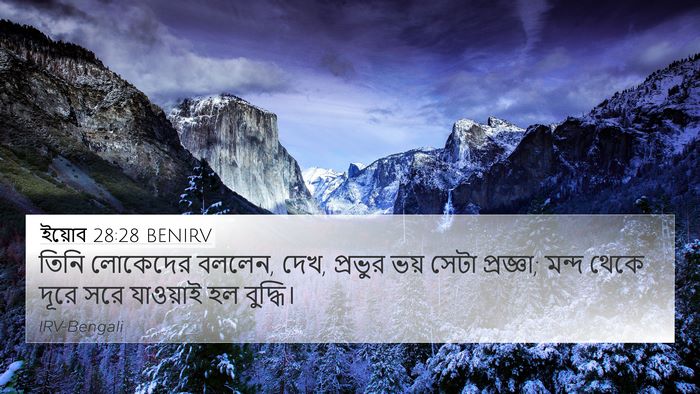 ইয়োব 28:28 BENIRV Bible Verse Image